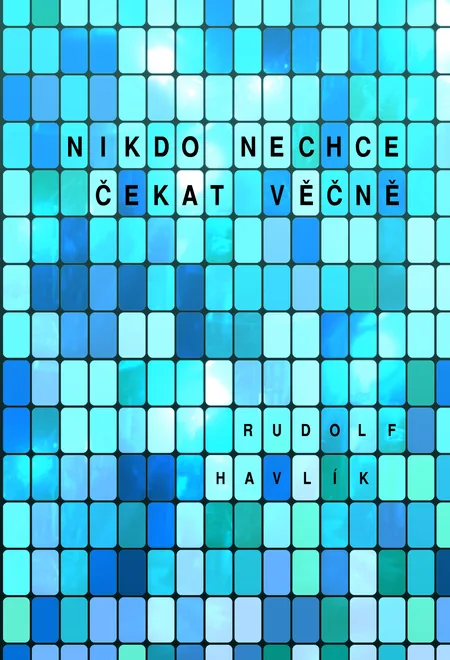Obálka: Nikdo nechce čekat věčně